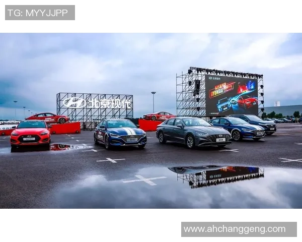 沐鸣2平台的独特优势与特色全面解析助力用户体验提升