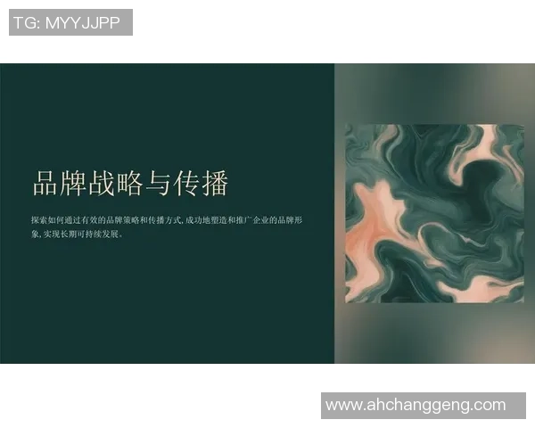 非凡娱乐品牌理念的深度解读与传播策略探索