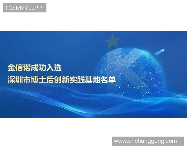中欧市场进入策略与实践指南助力zoty成功拓展新机遇 中欧市场进入策略与实践指南助力zoty成功拓展新机遇