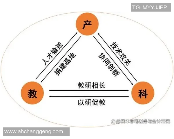 提升彩神Vll客户服务体验的创新策略与实践分享