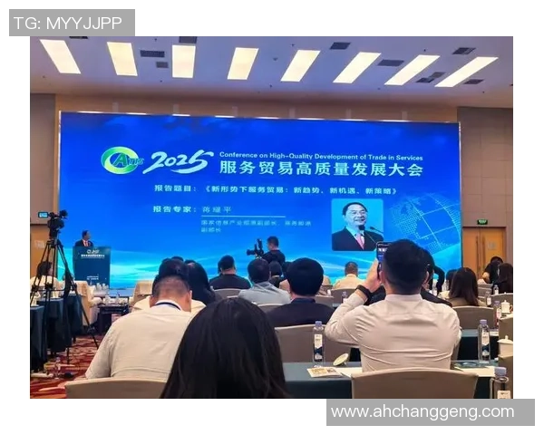 巅峰国际如何凭借核心优势引领行业发展与创新的成功之路