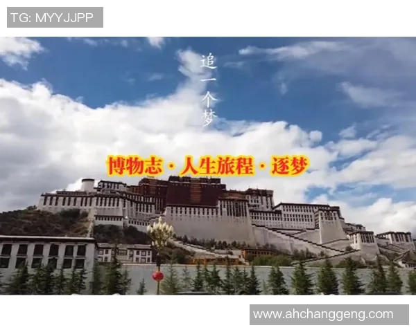 非凡娱乐助力梦想成真开启精彩人生旅程 非凡娱乐助力梦想成真开启精彩人生旅程