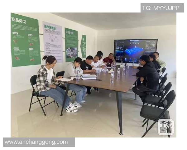 巅峰国际容器化部署最佳实践探索与应用指南助力企业数字化转型 巅峰国际容器化部署最佳实践探索与应用指南助力企业数字化转型