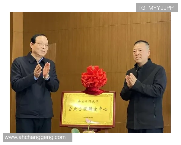 星空娱乐数据合规审计的全面解析与最佳实践分享