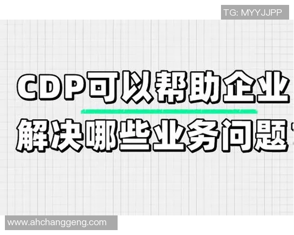 提升uu国际虚拟机性能的优化策略与实用技巧分享 提升uu国际虚拟机性能的优化策略与实用技巧分享