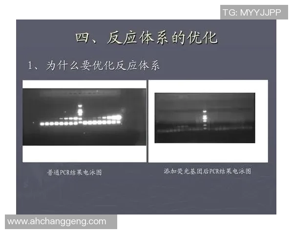 探讨uu国际状态压缩方案在数据传输中的应用与优化策略分析 探讨uu国际状态压缩方案在数据传输中的应用与优化策略分析