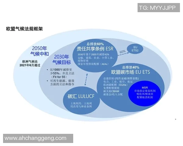 推动数据共享与创新的zoty中欧数据流通沙盒探索与实践 推动数据共享与创新的zoty中欧数据流通沙盒探索与实践