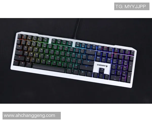 机械键盘轴体详解:不同轴体如何影响游戏体验与表现 机械键盘轴体详解:不同轴体如何影响游戏体验与表现